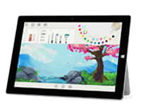 三河Surface 无法开启、Windows 无法启动或电池无法充电